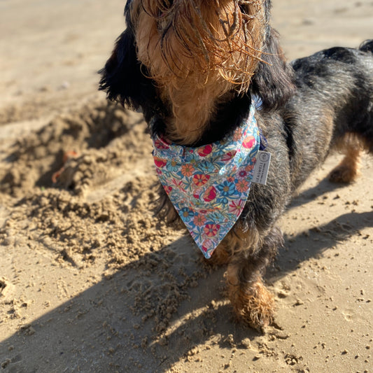 Bandana pour chien - Flower Power 🌸🐶